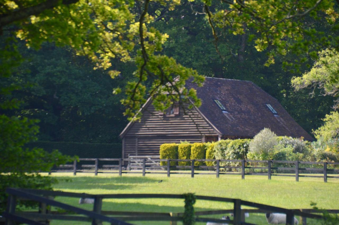 GraffhamThe Hideaway-South Downs National Park公寓 外观 照片