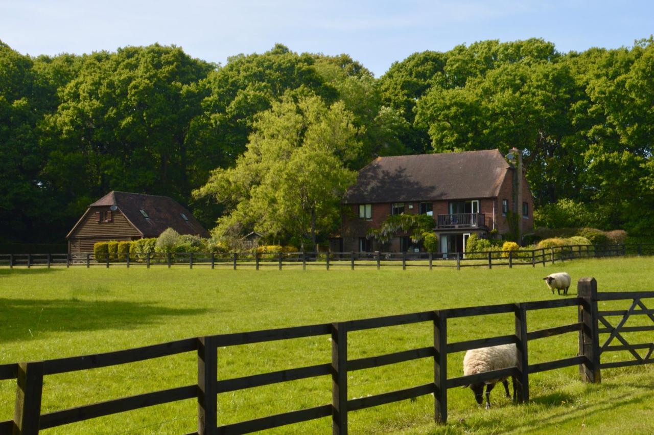 GraffhamThe Hideaway-South Downs National Park公寓 外观 照片
