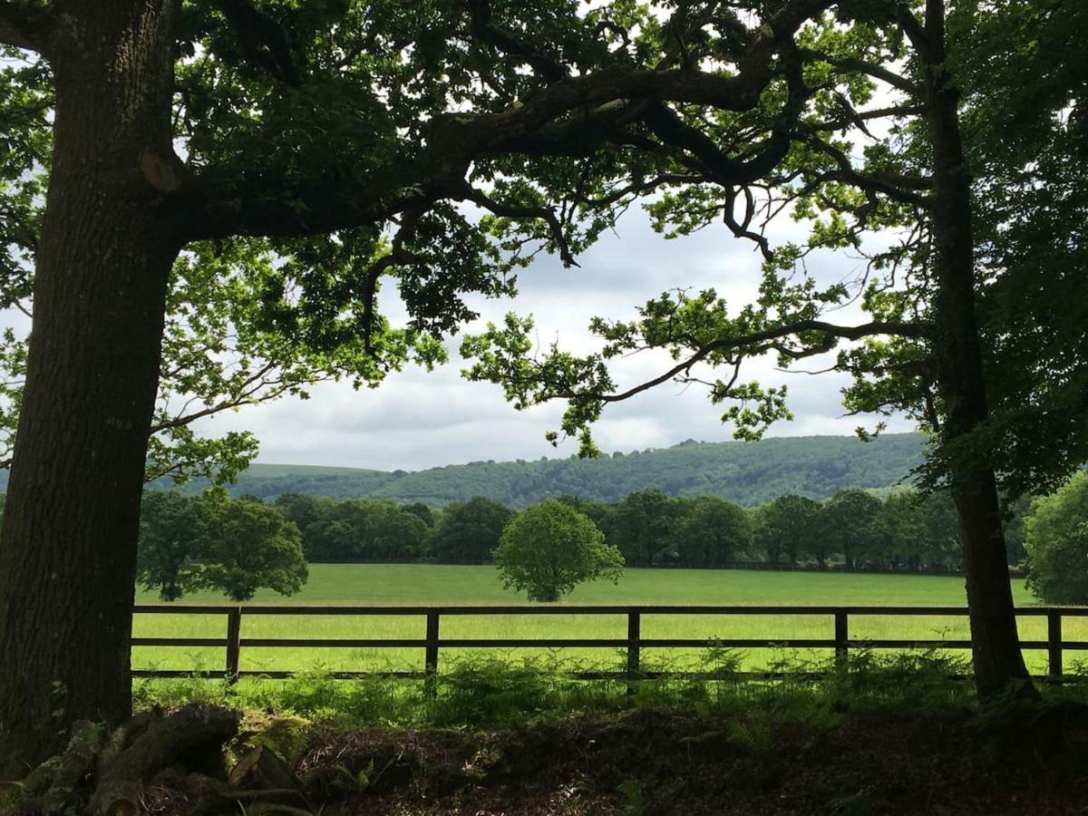GraffhamThe Hideaway-South Downs National Park公寓 外观 照片