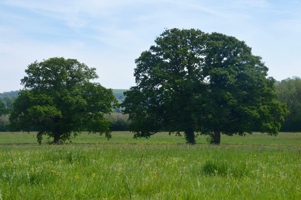 GraffhamThe Hideaway-South Downs National Park公寓 外观 照片